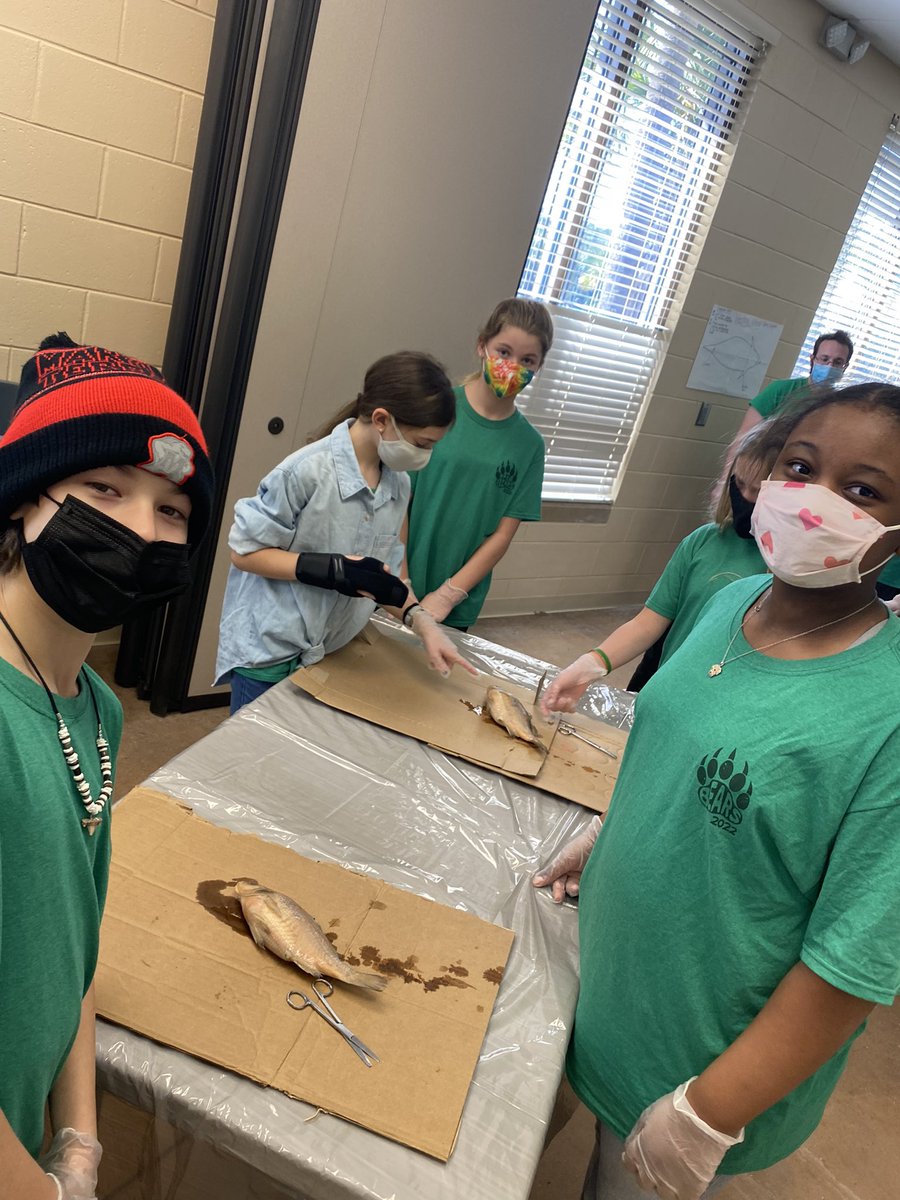 lancepolikov1's tweet photo. Snakes and Turtles about to dissect fish #RNEJekyll22 https://t.co/uTcHMj7eb1