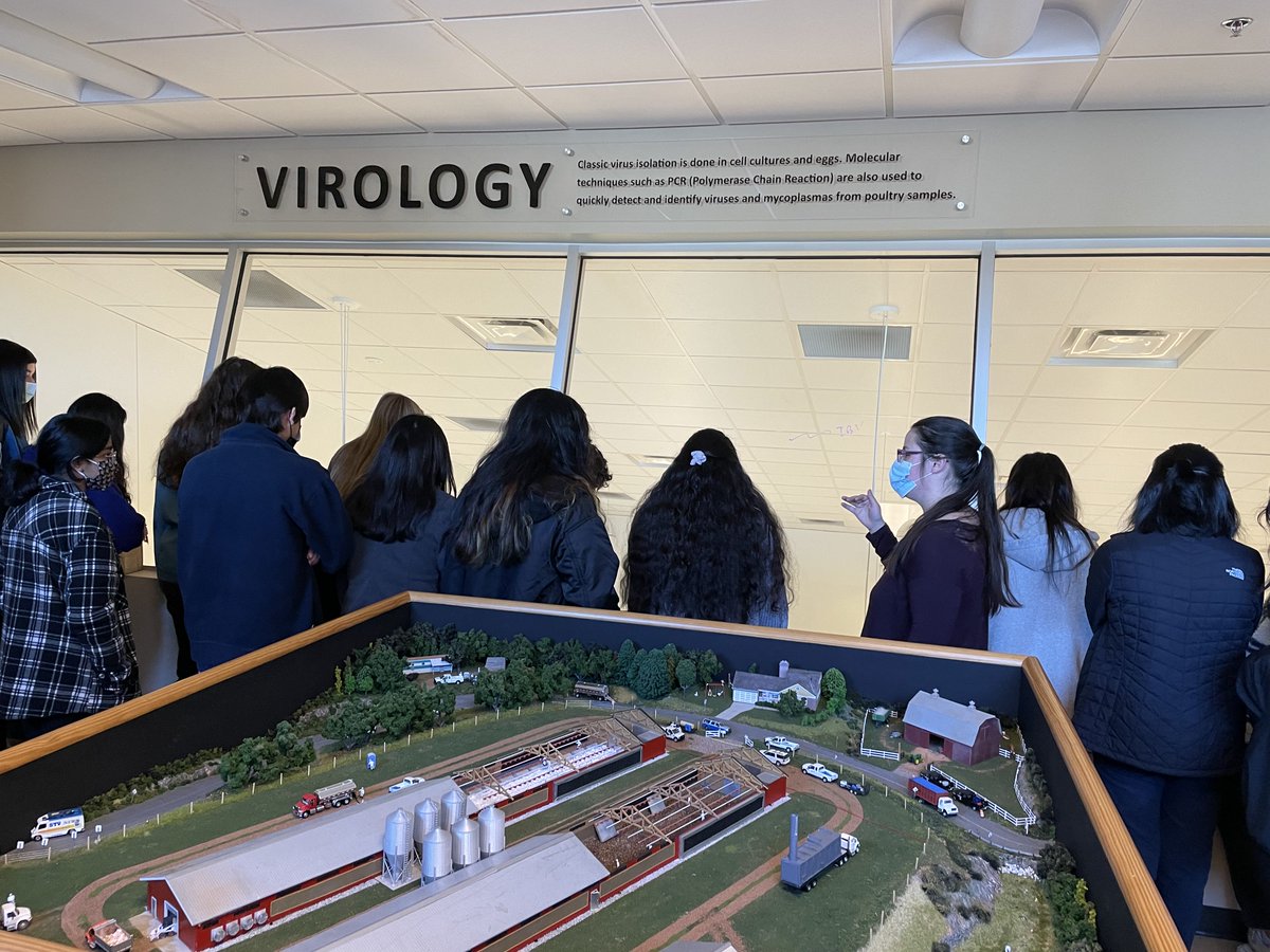 JHS_WBL's tweet photo. Ga. Poultry Lab is perfect for @johnsonknights IB biology students to watch lab staff apply science to ensure the health and safety of the our state's poultry industry. We are grateful for the work they do! @Hall_Schools @GvilleHallBiz @HallCountyWBL @GaDeptAg #communityindustry https://t.co/9IAO7fXm4Z