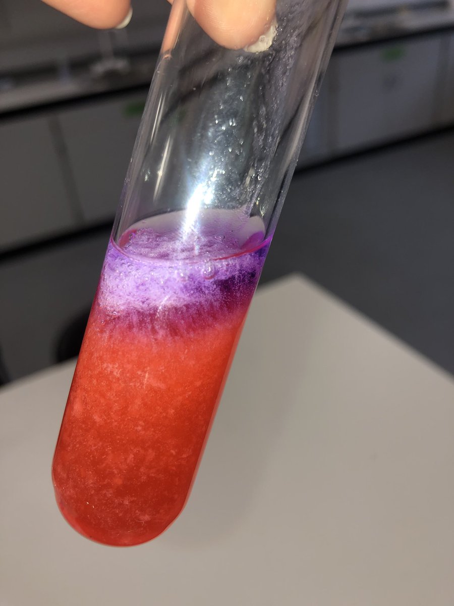 Miss Carrigan 🧬✏️👩🏼‍🔬🌎 🥽 🌈 tweet media