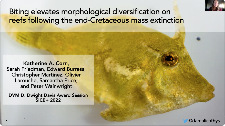 Katherine Corn, PhD tweet media