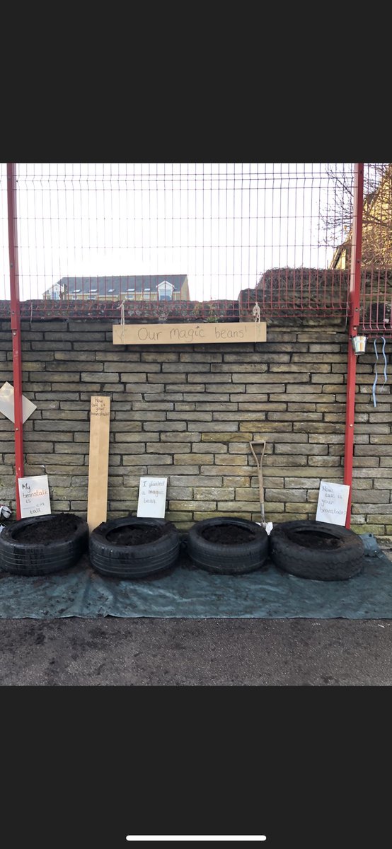 MissBarnett20's tweet photo. After reading Jack and the Beanstalk, I gave the children some magic beans to plant! We are excited to grow them and see how tall they get! 🌱 @shipley_ce @WeAreBDAT #planting #eyfs #outdoorprovision #planningforpotential #earlyyears https://t.co/VtWoaz0LvU