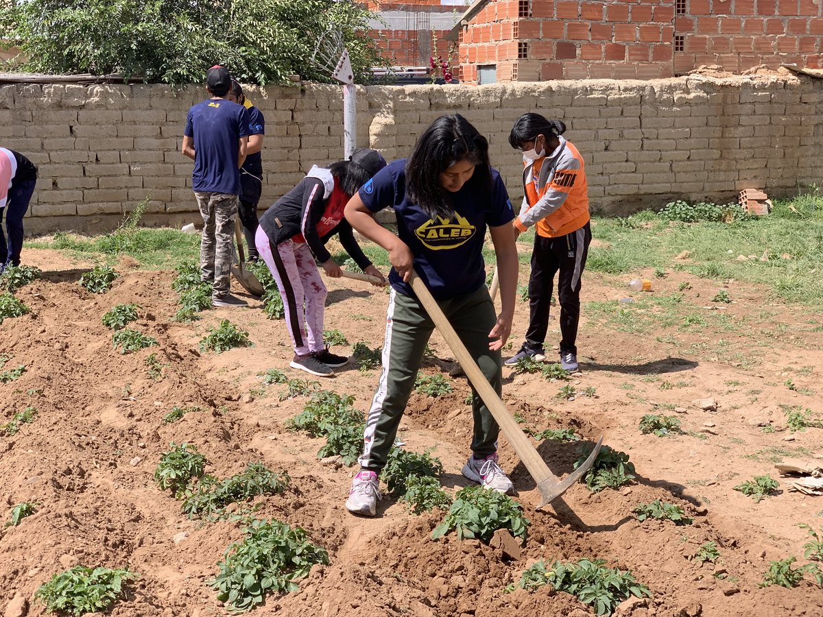 Misión Caleb en la <a href="/iasd_mbc/">Adventistas Central Bolivia</a> 1400 jóvenes dejarán su huella en Potosí, Sucre, Oruro y Cochabamba. #YoVoy #MisionCaleb