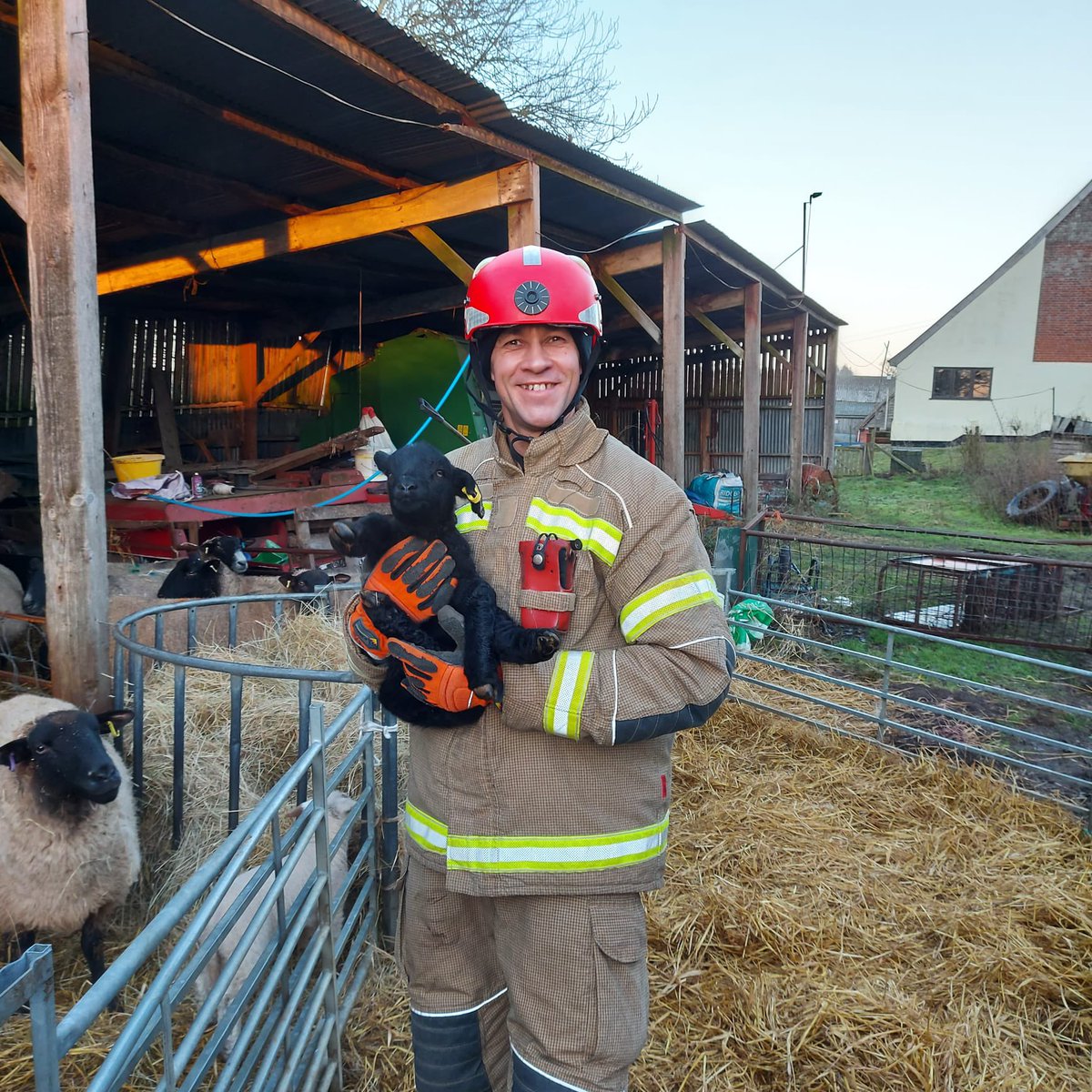 SFRSTraining's tweet photo. 2 great days of @SuffolkFire animal rescue level 2 / 3 refresher training for operational crews with our outside partner agencies @OldHallFm  at Woodton. David Love Bullit Services and Klub Equest. #NotJustFires https://t.co/hWaQmPSMLN
