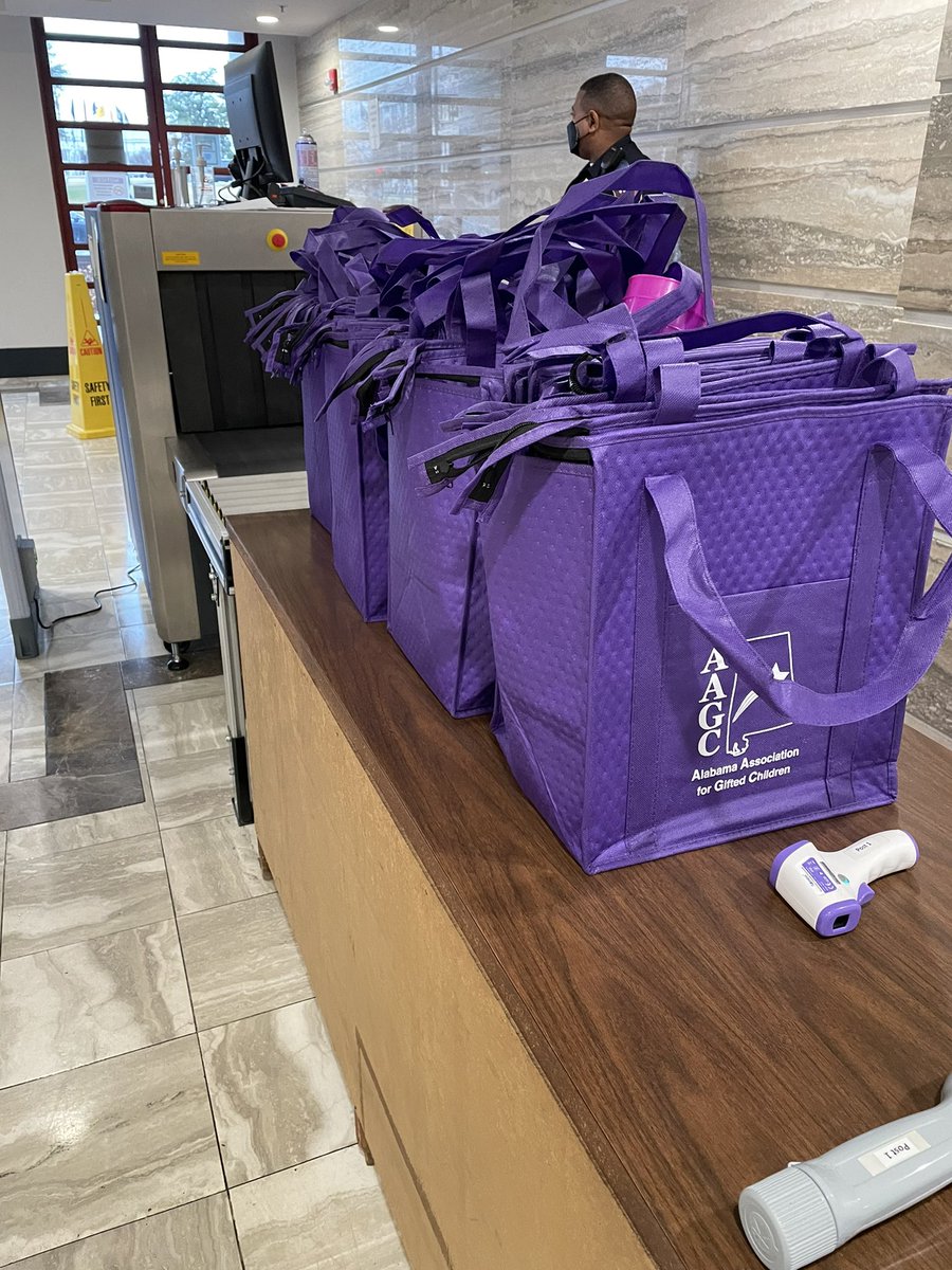shirfarr's tweet photo. Advocating 4 #gifted @ the Al state house 2 give @alabamagifted bags & swag to members & clerks of House & Senateed budget committees. Added 1-pager why increase gifted funding & how GT aligns to Innovate AL!! @TroyTeacherEd @AlabamaAchieves @DavidHCutler #algem22 @NAGCGIFTED https://t.co/uYAQggTIRP