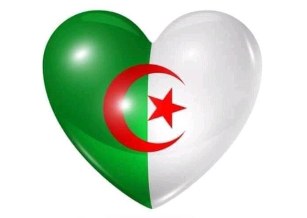 derradjihafid's tweet photo. المنتخب الجزائري لم يكن يستحق التأهل في هذه البطولة ، لكنه يستحق منا كل التشجيع والاحترام والتقدير، خاصة وأنه يمثل وطن إسمه الجزائر ، وشعب شريف عظيم لا ينكسر أبدا .
سنعود بعد شهرين لنفرح ونسعد مجددا بإذن الله. 
تحيا الجزائر 🇩🇿 https://t.co/pnlSotsEl5