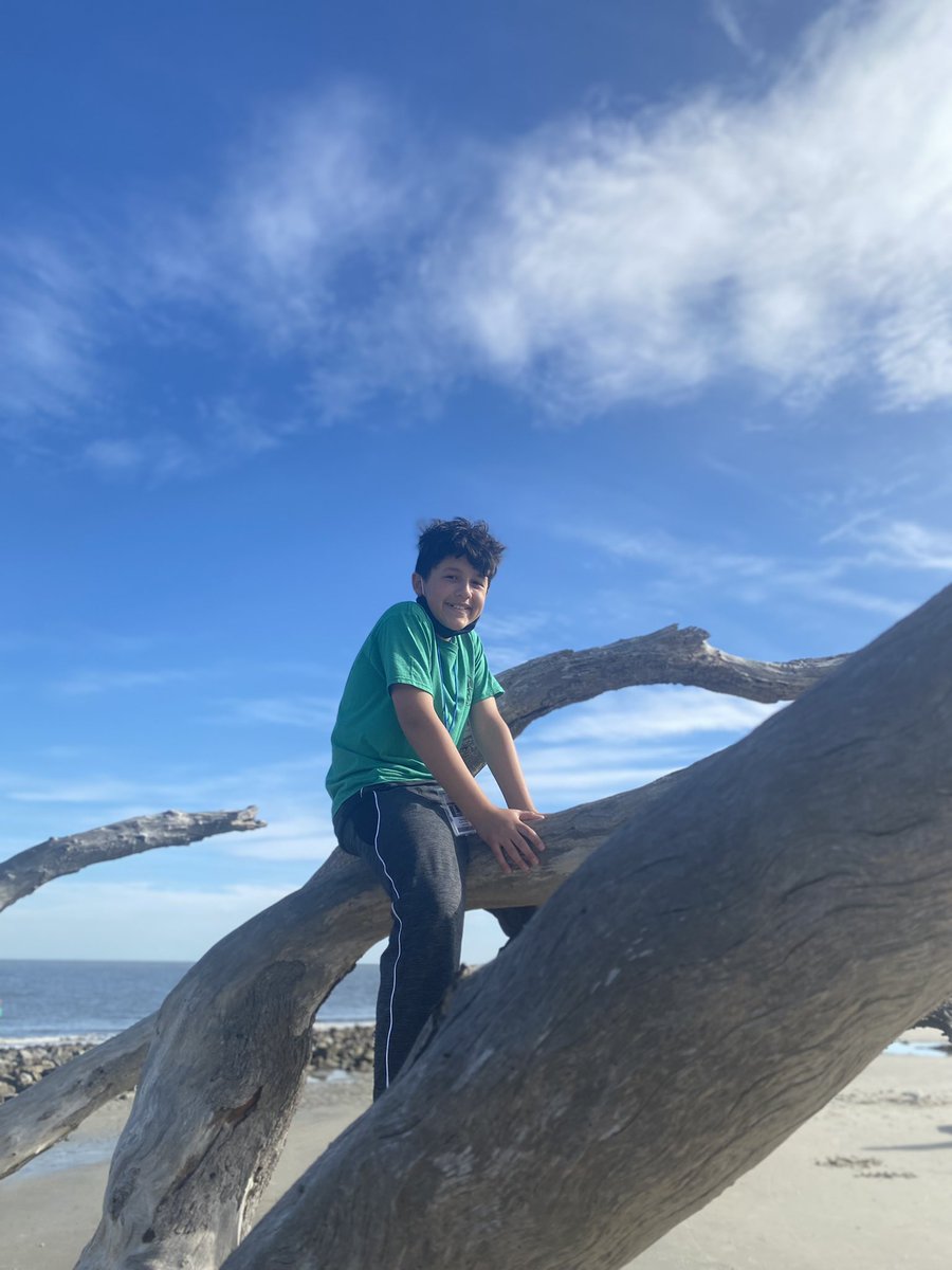 NikkiMaples1's tweet photo. Octopi at north beach!!!
#RNEJekyll22 #rnegreatthings https://t.co/OOcYx00Qfx