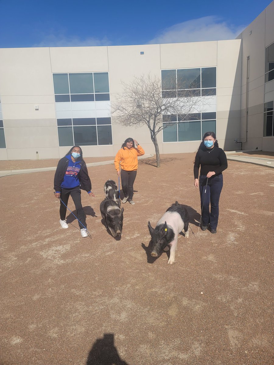 Mr. Desi Gonzales tweet media