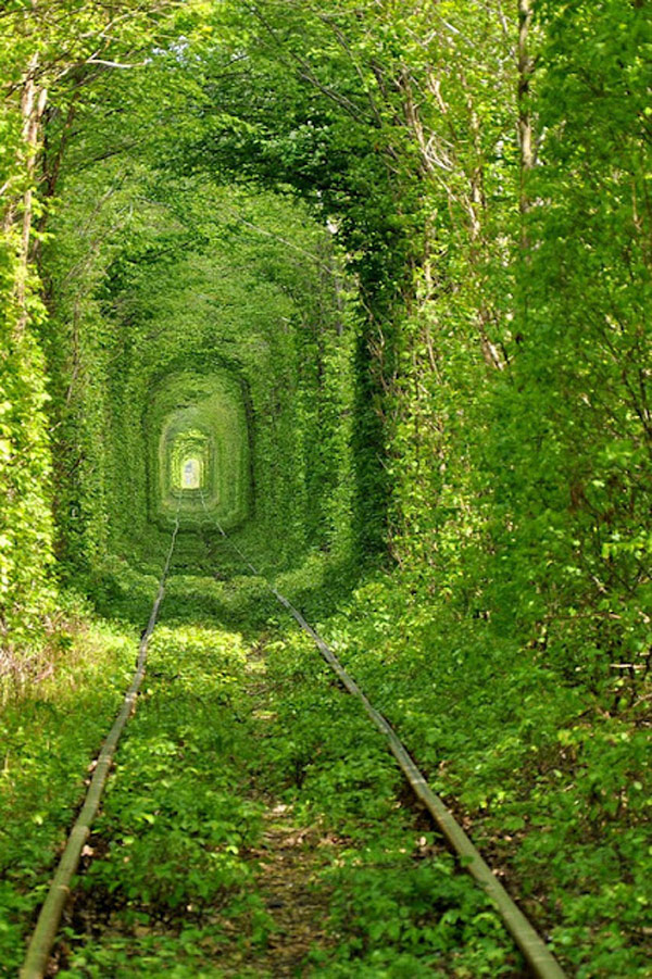 A Kevlan, a l'oest d'Ucraïna, hi ha una fàbrica de taulers de fusta. Per a portar-hi troncs van posar vies pel mig del bosc, sense podar els arbres. Tres cops al dia hi passa el tren, i a base de passar-hi ha creat el conegut com a "Tunnel of Love", com la cançó de Dire Straits.