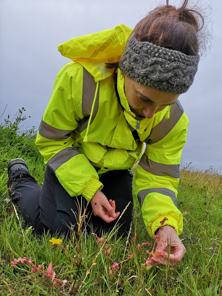 CalConLtd's tweet image. We're looking for a Principal Ecologist! The successful candidate will have the opportunity to pursue projects they want to, as well as exploring #ecology topics they're passionate about. More info here:
 caledonianconservation.co.uk/cms/resources/…

#vacancy #Jobs #Scotland #vacancies #wildlife