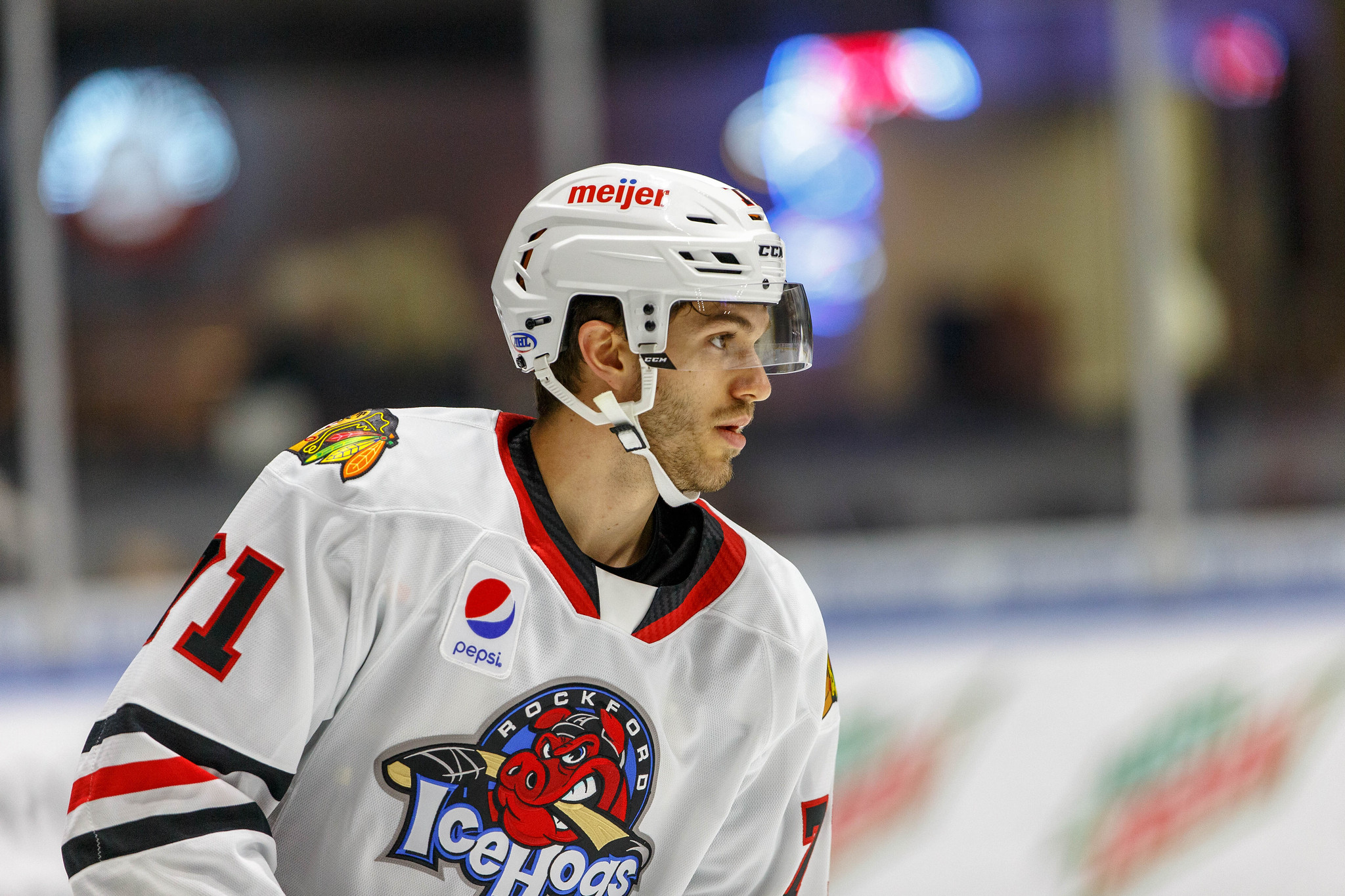Rockford IceHogs News