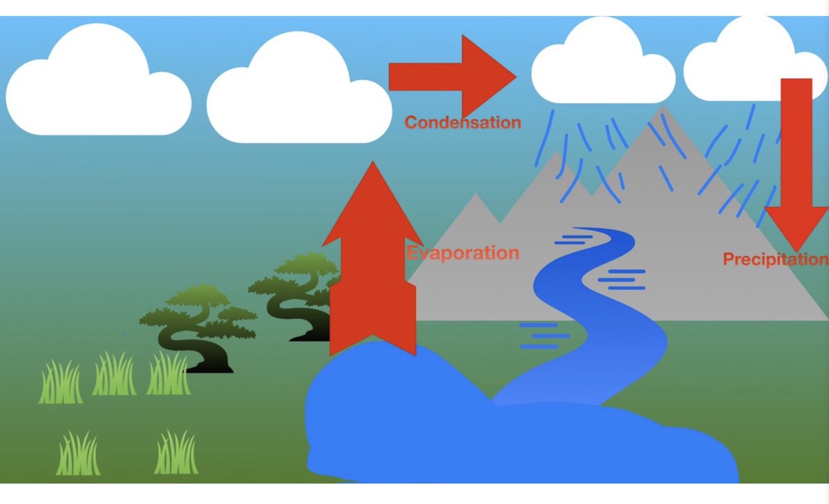qehjuniors's tweet photo. The Water Cycle, drawn on Keynote by Max in Year 6. @QEHSchool @Seesaw #qehcare #qehcharacter #qehcommunity #qehschool https://t.co/QBv6WWCHHM