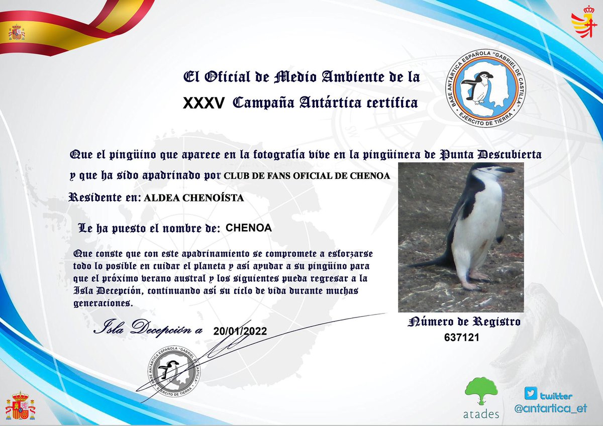 MilaRufianVidal's tweet photo. @Chenoa Buenas noches madre mía como no vamos a sonreír cuando entramos en la aldea mi querida @Chenoa si es que esto es lo más bonito que acabo de ver me encantan los pingüinos venga hagámosles trending topic na nuestra #macota #chenopinguino 🥂🍀😘😘💓🤣🙏🏻💪🌹🎶👸🏻☀️ https://t.co/YfwUyBLY2r
