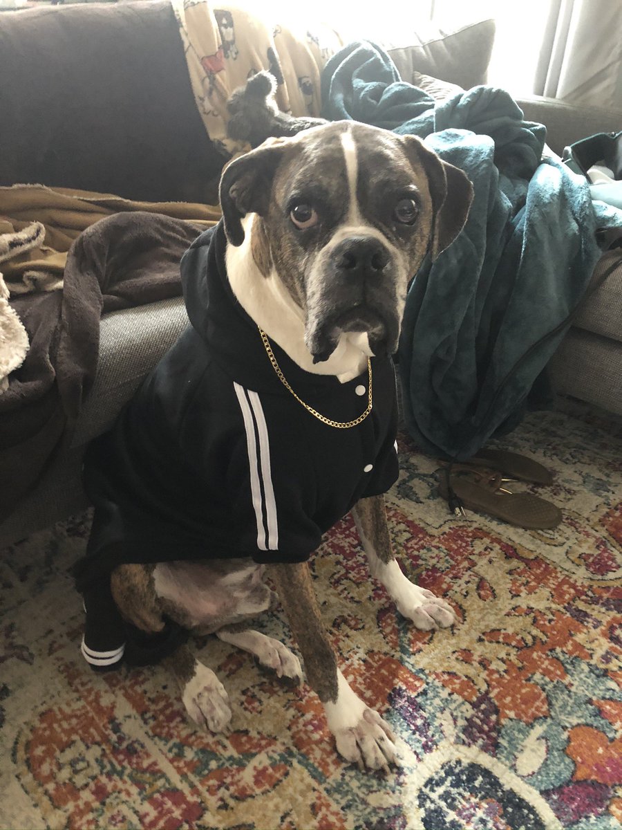 Bengals twitter, my 11-year old Boxer Benson isn’t doing so well and we are going to have to make a heartbreaking decision to put him to rest.  I’ll be wearing a Cedric Benson jersey to the game 4 luck and to honor him!  #Win4Benson @bengaljims_BTR @commissioneryas @TonyDaTiger96 https://t.co/JfJeZOVhlP