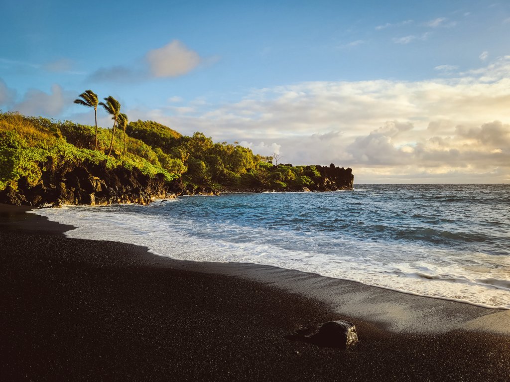 Austin ⚜ tweet media