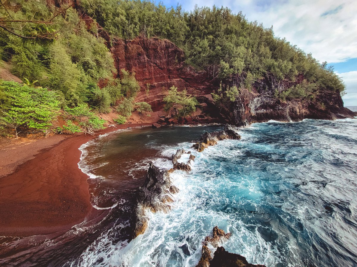 Austin ⚜ tweet media