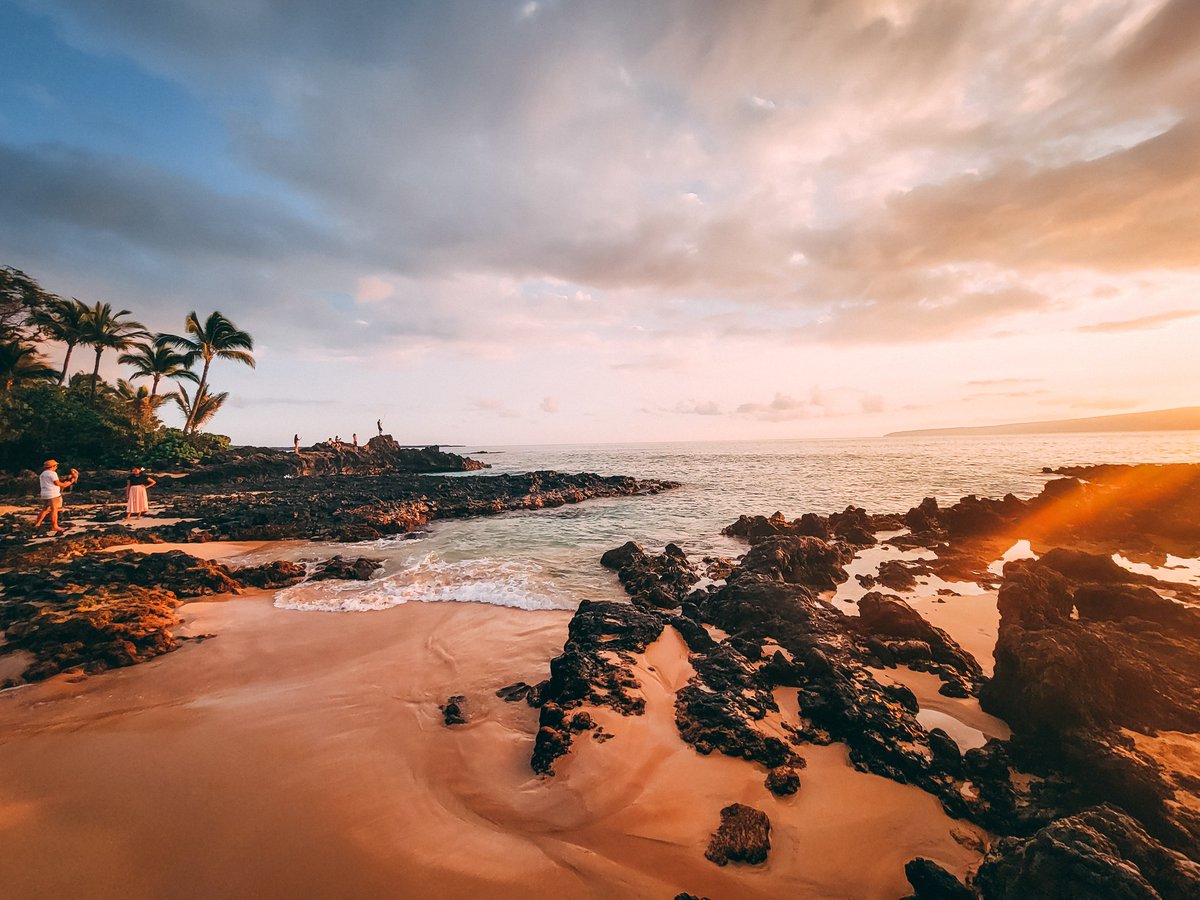 Austin ⚜ tweet media