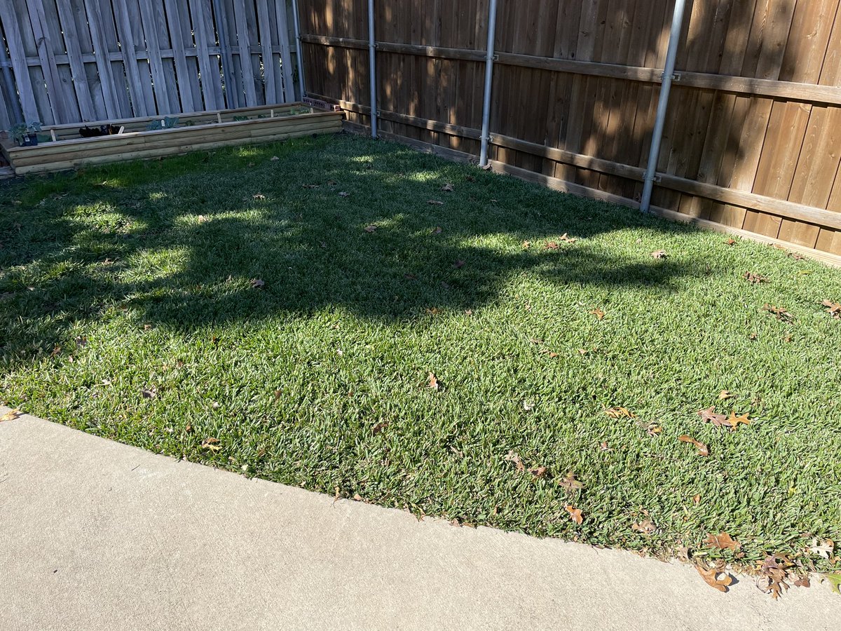 Eric Reasor, Ph.D. (@turfblade) on Twitter photo Just found out #Cobalt is in the back yard…good dark green color and barely watered it all summer! Going to be a great grass for Texas and beyond! <a href="/txextension/">Texas A&M AgriLife Extension Service</a> <a href="/ChandraAmbika/">Ambika Chandra</a> <a href="/hairyligule21/">Chrissie Segars 🤓</a> Just found out #Cobalt is in the back yard…good dark green color and barely watered it all summer! Going to be a great grass for Texas and beyond! <a href="/txextension/">Texas A&M AgriLife Extension Service</a> <a href="/ChandraAmbika/">Ambika Chandra</a> <a href="/hairyligule21/">Chrissie Segars 🤓</a>