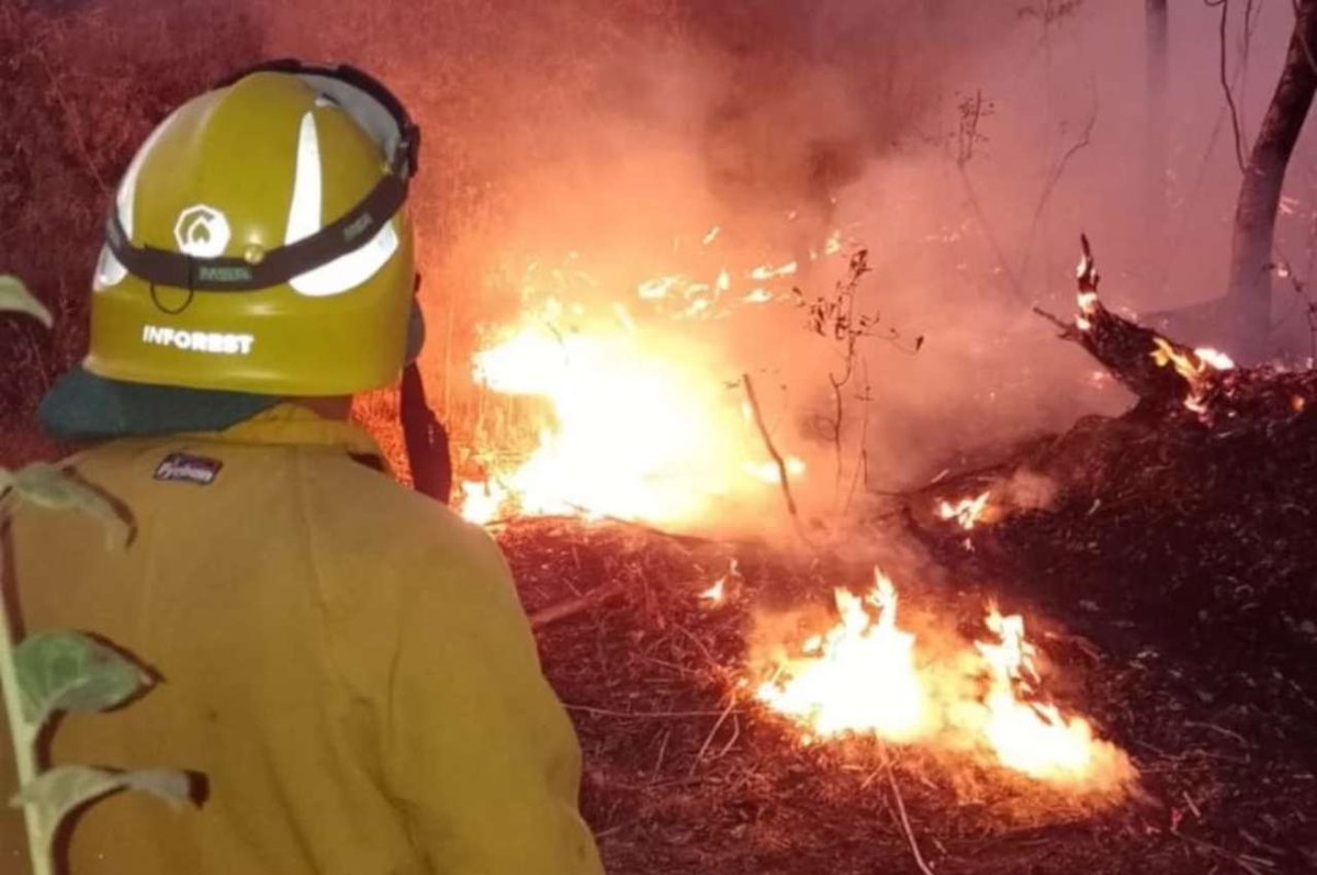 RPDObera's tweet photo. Los Bomberos de la Policía, voluntarios, efectivos de distintas dependencias, vecinos, empresas y demás colaboradores trabajaron y trabajan incansablemente para combatir esta problemática que afecta a Misiones.  #BomberosVoluntarios #Combatedelfuego

https://t.co/2s8veuzDZ3 https://t.co/fWrAOR3LWi