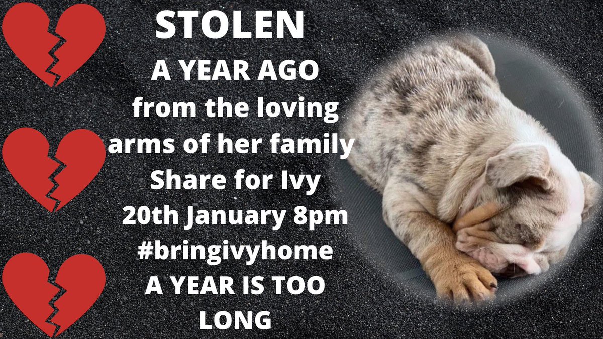 #BringIvyHome