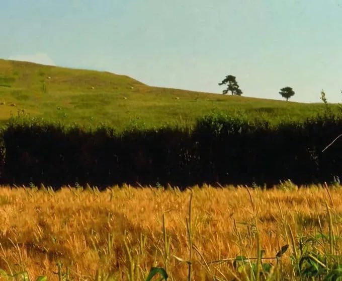 se oye algo a lo lejos. va lento