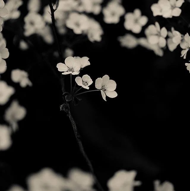 toiblarlos's tweet photo. •
#ShuichiMachimoto 
• https://t.co/qtfVBGD7nO