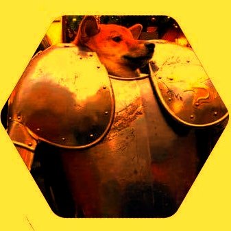 doge_radio's tweet image. #NewProfilePic #NFT #RightClickSave