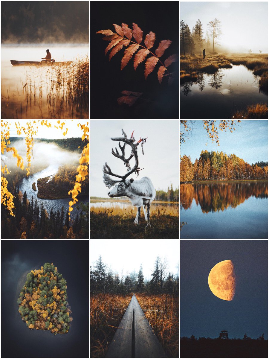 #finland 🇫🇮 #autumn 🍂 #moodboard 🛶