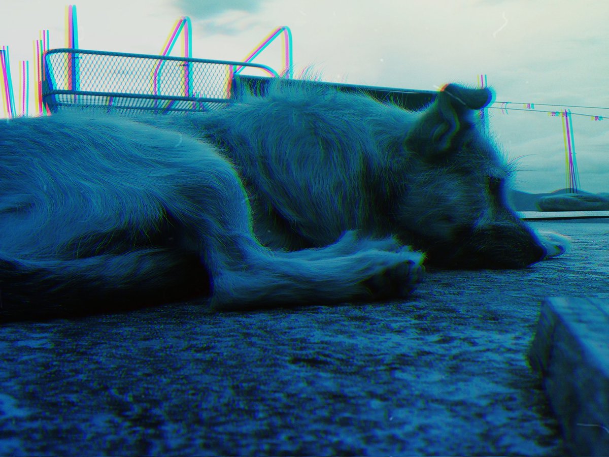 LUISGUS23444569's tweet photo. Tiempo habitual
Queity rbuzhdy mniny xpecwni

El niño no llama a su perro
@DizhSa
#usatuvoz
#zapoteco https://t.co/7aJbn2iKo1