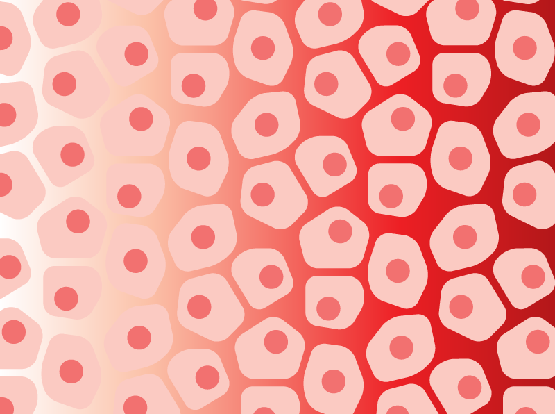 .<a href="/oana_ursu/">Oana ursu </a>, @JamesTNeal, <a href="/boehmjesse/">Jesse Boehm</a> &amp; colleagues unveil a massive-scale method for gaining a rich understanding of how mutations impact cell state, &amp; question the practice of dividing cancer mutations into "drivers" &amp; "passengers." broad.io/sc-eVIP #variant2function