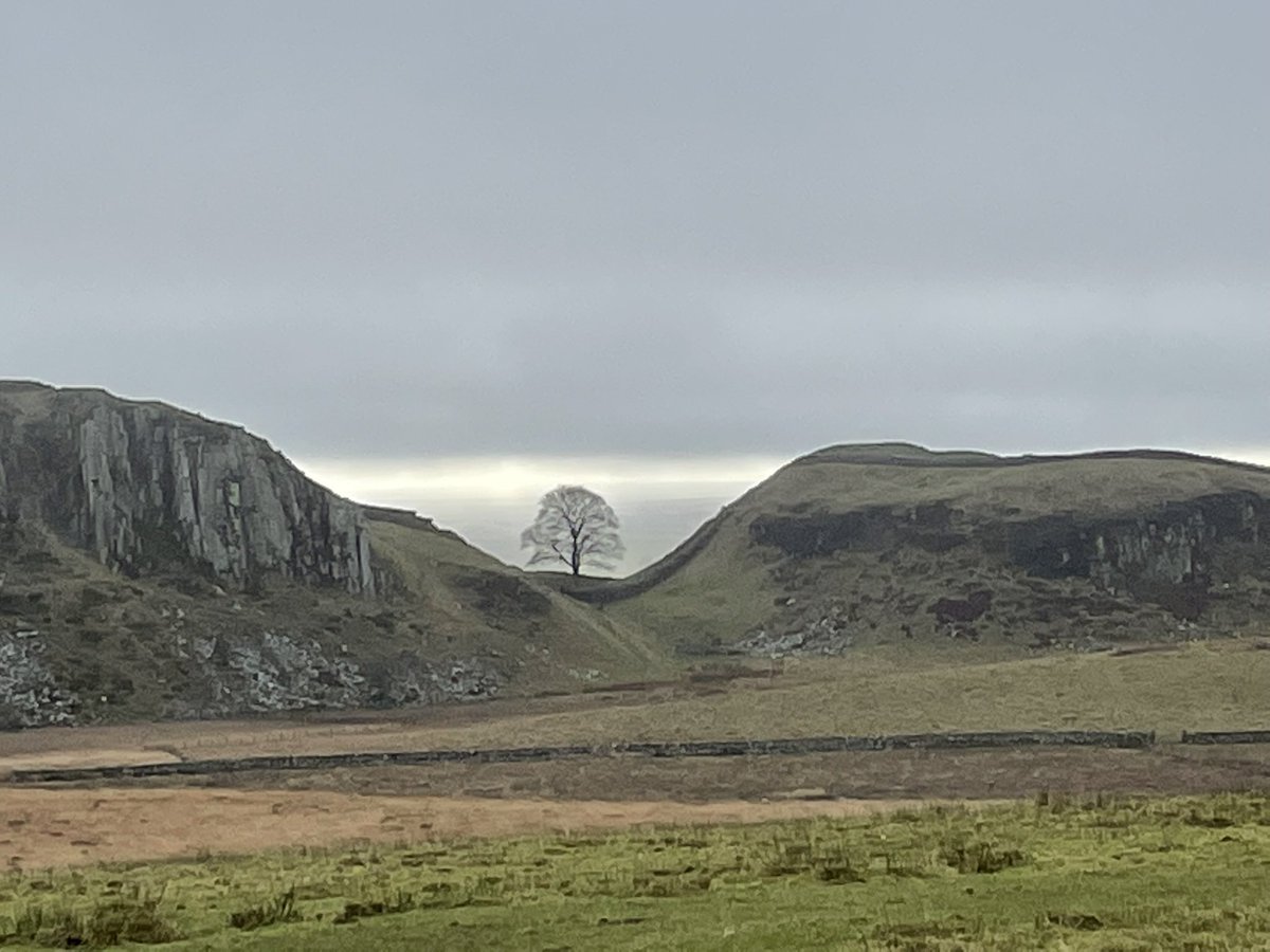 Lloyd Edwards tweet media