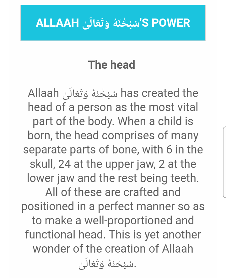 DailyMadrassa's tweet photo. #creation #allahspower #Humanbody https://t.co/7J0U6XTRm5