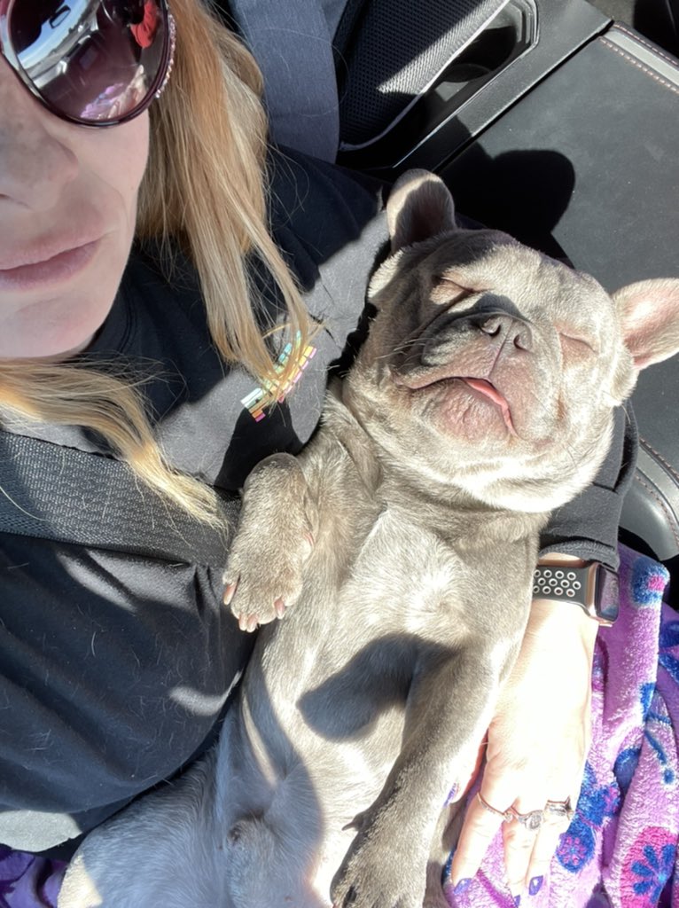 TXFamPups's tweet photo. #BitOnTheRoad @TxGamerChick https://t.co/4lQnElISgD