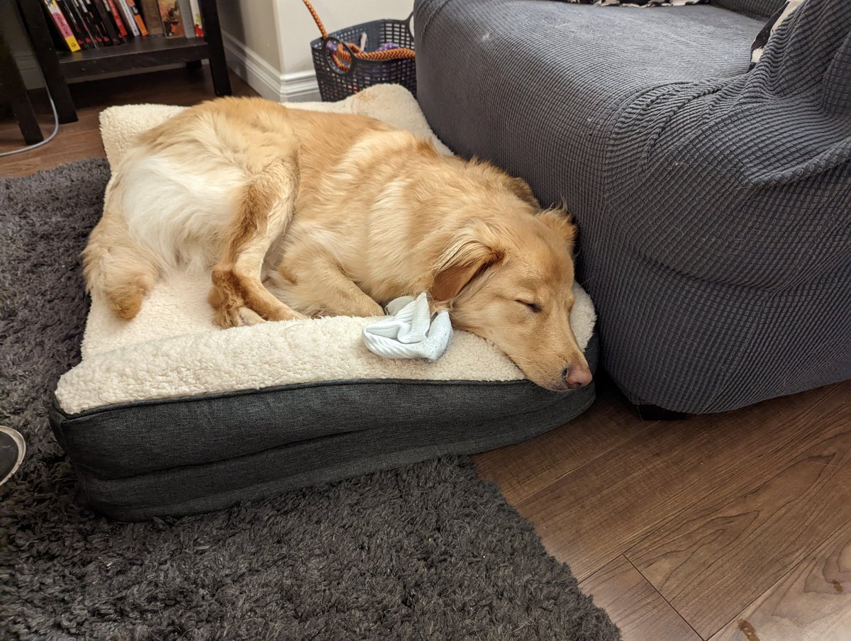 TracyShier's tweet photo. @RealAlexD Always with a worn sock! https://t.co/vU0EDjY7Nk