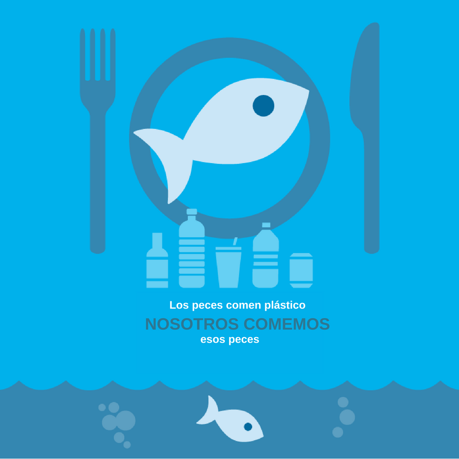 ONU_es's tweet photo. Los desechos plásticos no desaparecen. Se vuelven más pequeños y, a menudo, terminan en los océanos, donde los peces los confunden con alimentos.

Así es como acaban en nuestros platos.

Combate la #ContaminaciónPorPlásticos junto con @unep_espanol. https://t.co/fEcNUWdGQe https://t.co/sDLZWFXopY