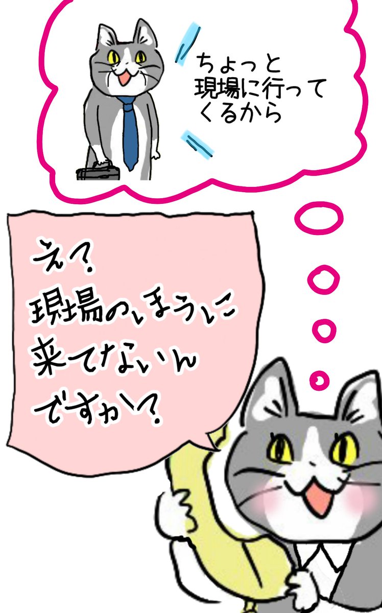 どこに行方をくらましやがったんですか?? #現場猫 