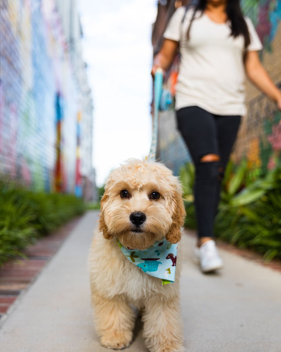 columbiasc's tweet photo. Not sure where to start on your visit to #RealColumbiaSC? We've got you covered with our 2022 Insiders Guide! From antique shopping to pizza and fun for the whole family. Flip through the digital version here: https://t.co/EvoZD9WYfG
📷: @ForrestClonts https://t.co/C4DuaO5iFj