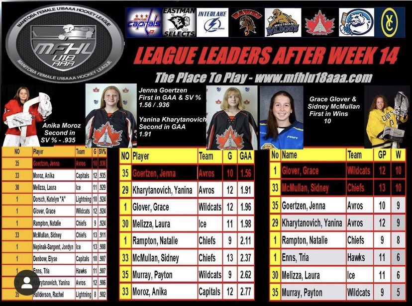 Westman Elite Goaltending tweet media