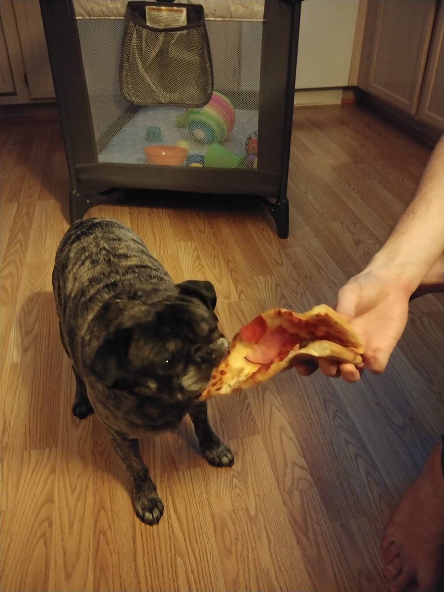 Mr roo did not make it to friday but we threw a real banger for him. He ate:

A entire pizza slice
A chickfillet sandwich 
2x french fries
3 things of chocolate
4 puppichinos for 4 diffrent drive throughs

And went to 3 of his fav parks. He passed away full for the first time. https://t.co/x9gnRgJk2S.
