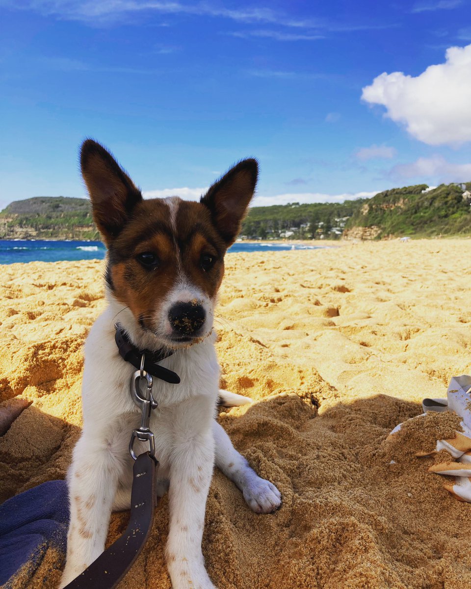 trookyard's tweet photo. When the beach cowboy found out we have to go back to work… https://t.co/VfGURogely