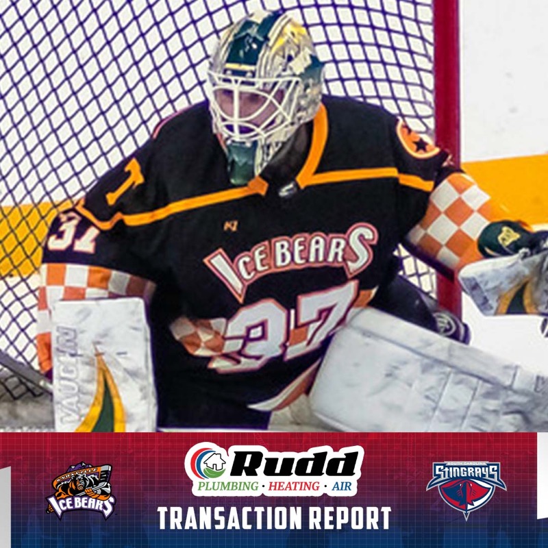 SCStingrays's tweet photo. Stingrays add three players ahead of a three game weekend. Forward Barret Kirwin comes out of Dalhousie University, Defenseman Ryan Orgel was most recently with the Utah Grizzlies, and Goaltender Kristian Stead was signed from the Knoxville Ice Bears.