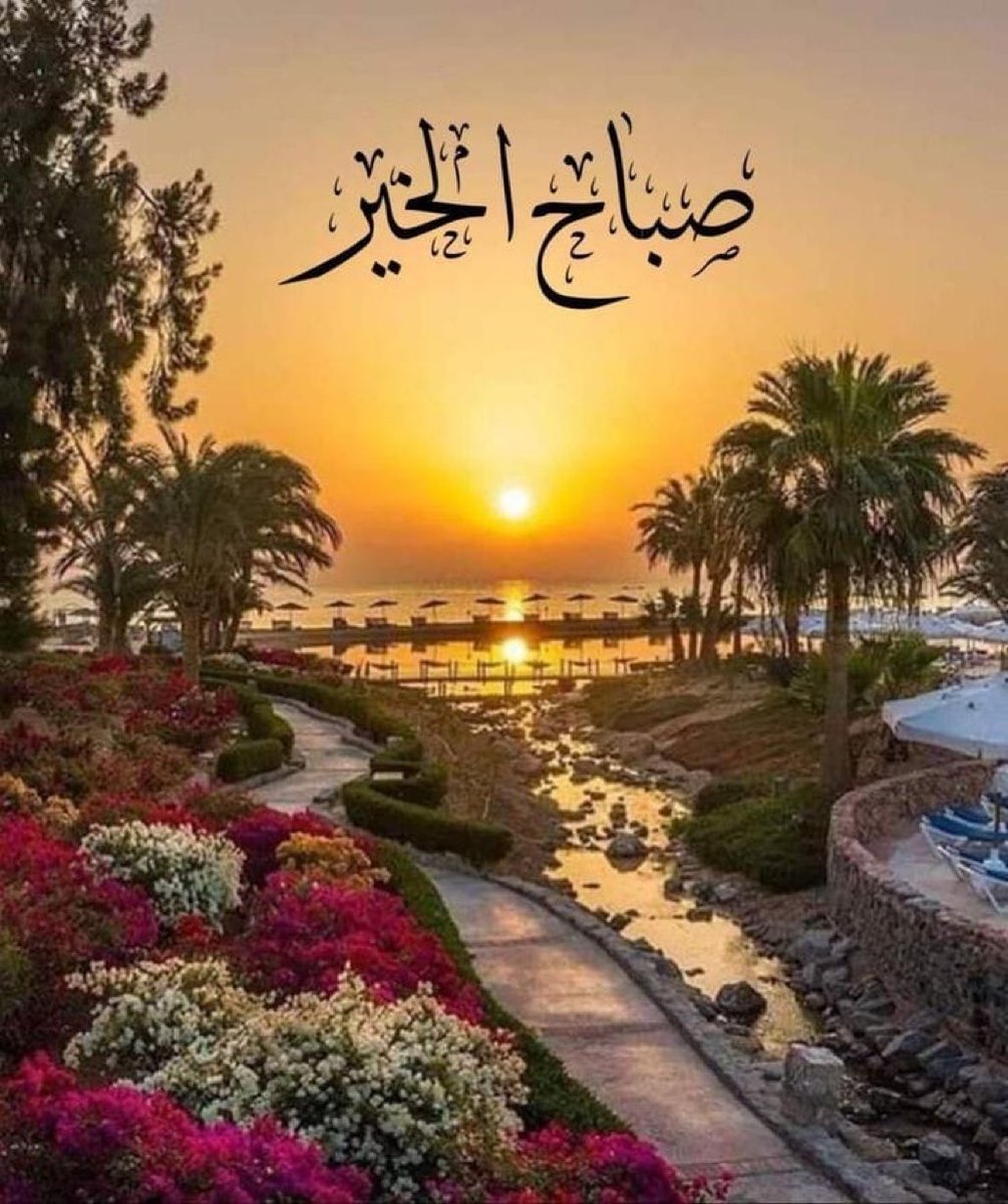 سراب (@nesnas55) on Twitter photo 