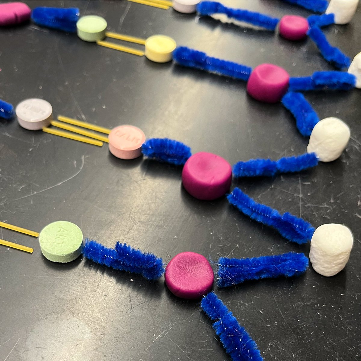 torchianator's tweet image. Beautiful job modeling DNA structure today in Honors Bio! #goknights #honorsbio #knightscience @FazioSally