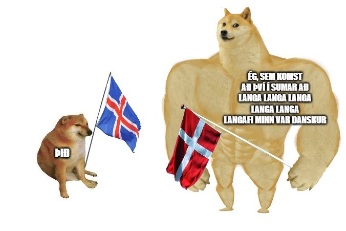 Andri P. Guðmundsson (@partyandri) on Twitter photo 