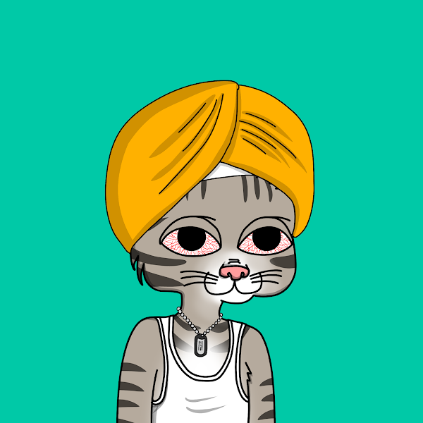 JittyBo tweet picture