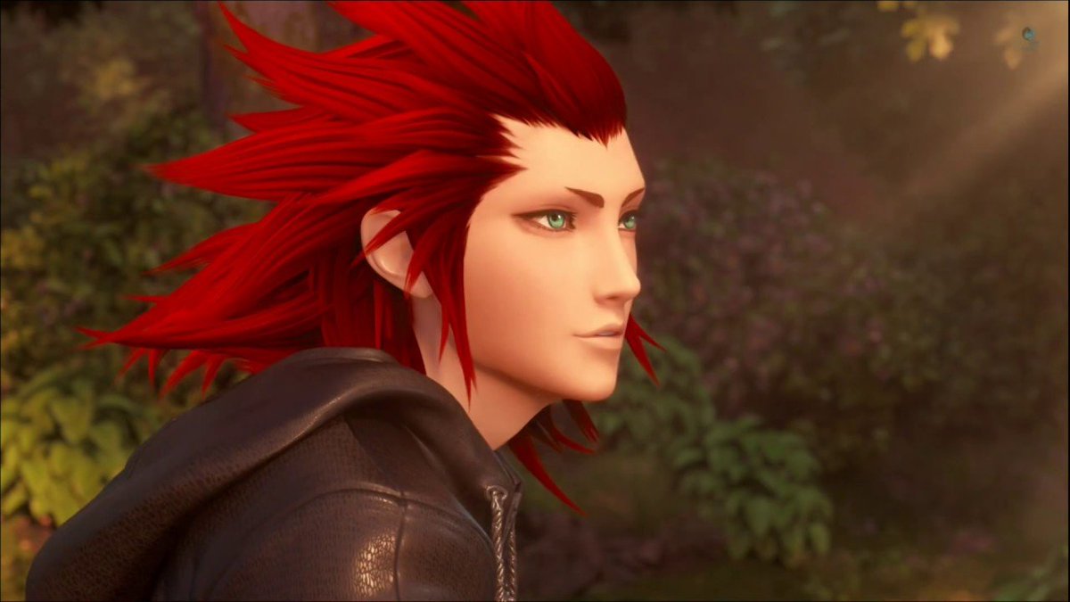 A - Axel (and Lea) - Kingdom Hearts.