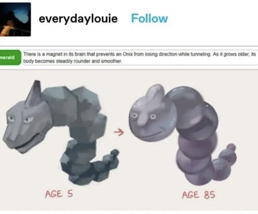 Touya! ☆ on X: The Pokédex entry for Onix just has me thinking