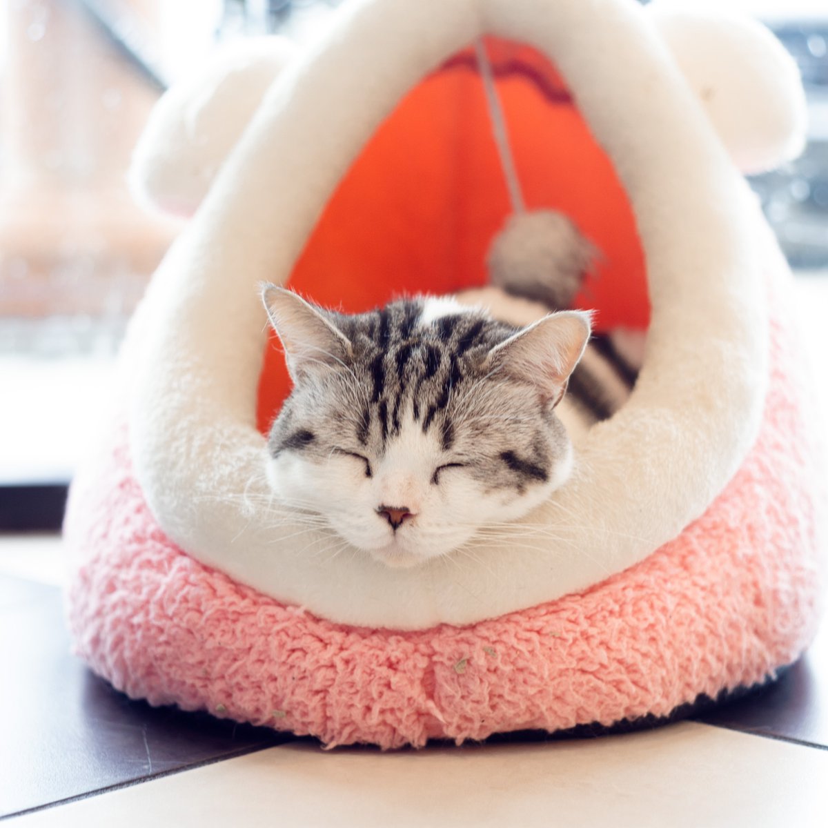 Looks like Bob is ready for Friday! Stay warm out there.