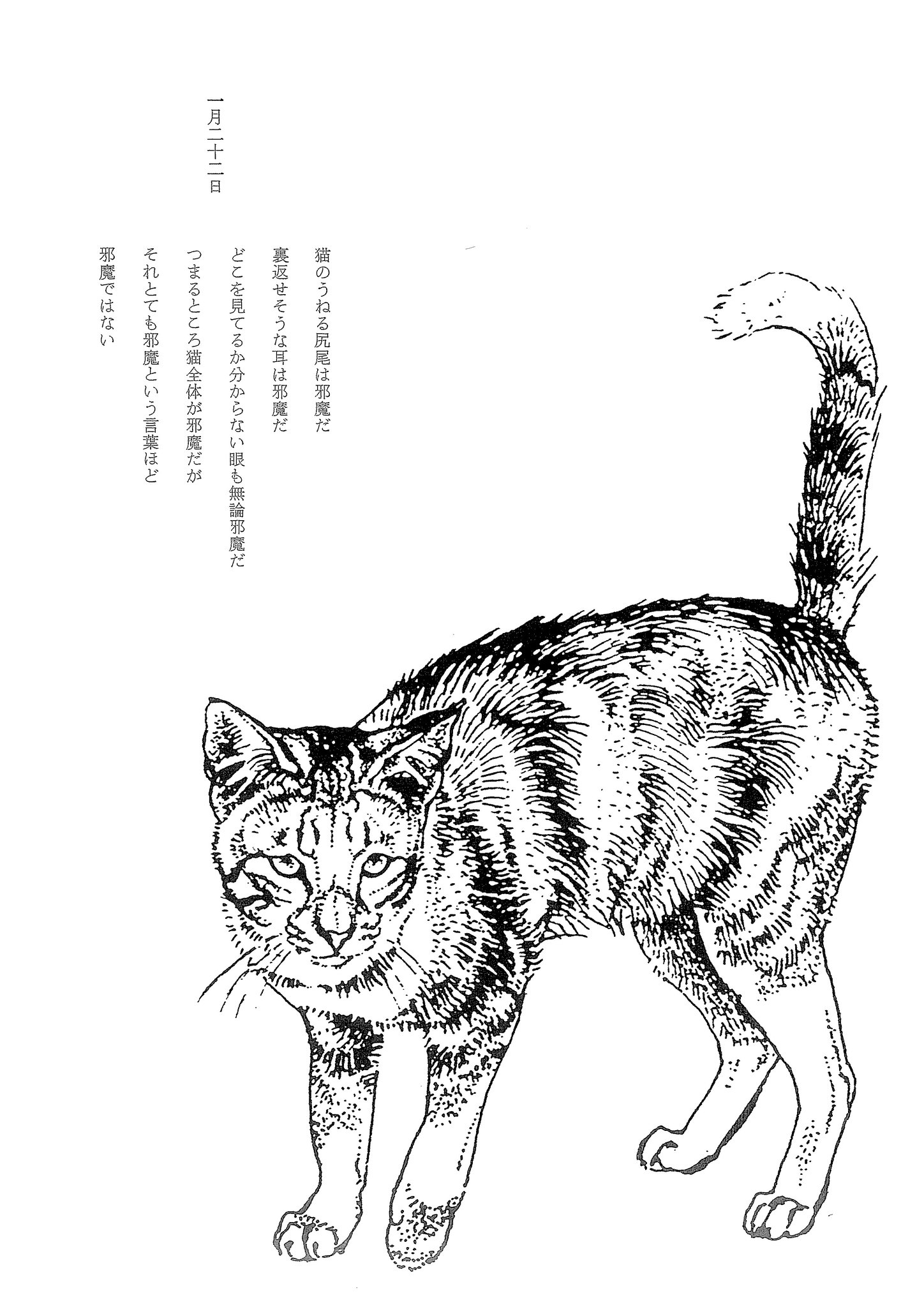 なにぬねこ　ネコマンガ・ナメ川コーイチ　ネコローグ・谷川俊太郎 なにぬねこ｜恵文社一乗寺店 オンラインショップ