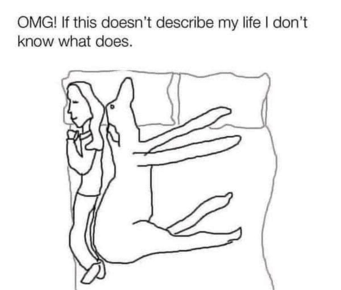 Respectful Memes (@respectfulmemes) on Twitter photo 