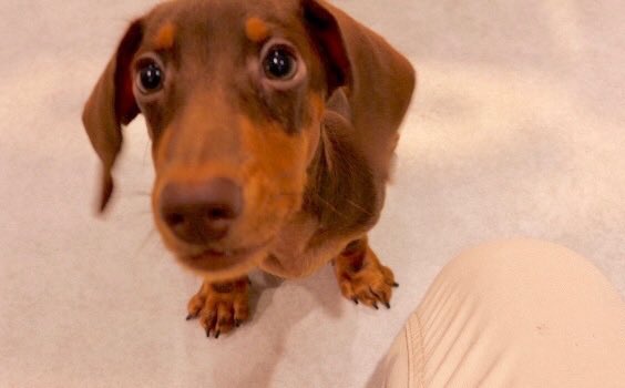 今日から仕事本格復帰します🤲NAOさんありがとう😊